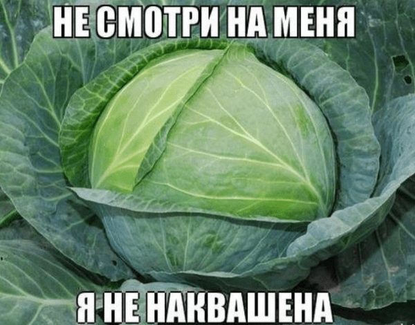 9 доводов за и против квашеных капусты и овощей
