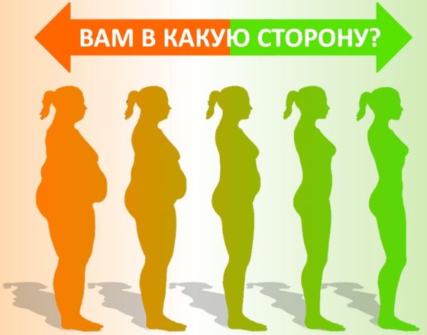 Кишечник — двигатель похудения