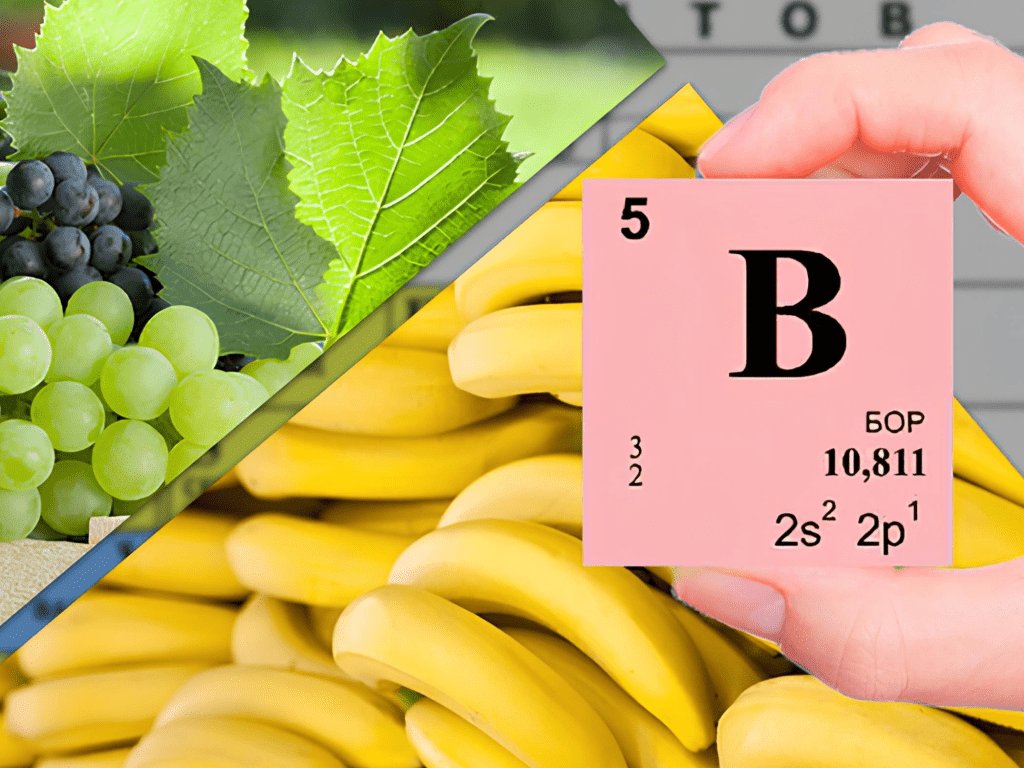 Содержание бора в продуктах