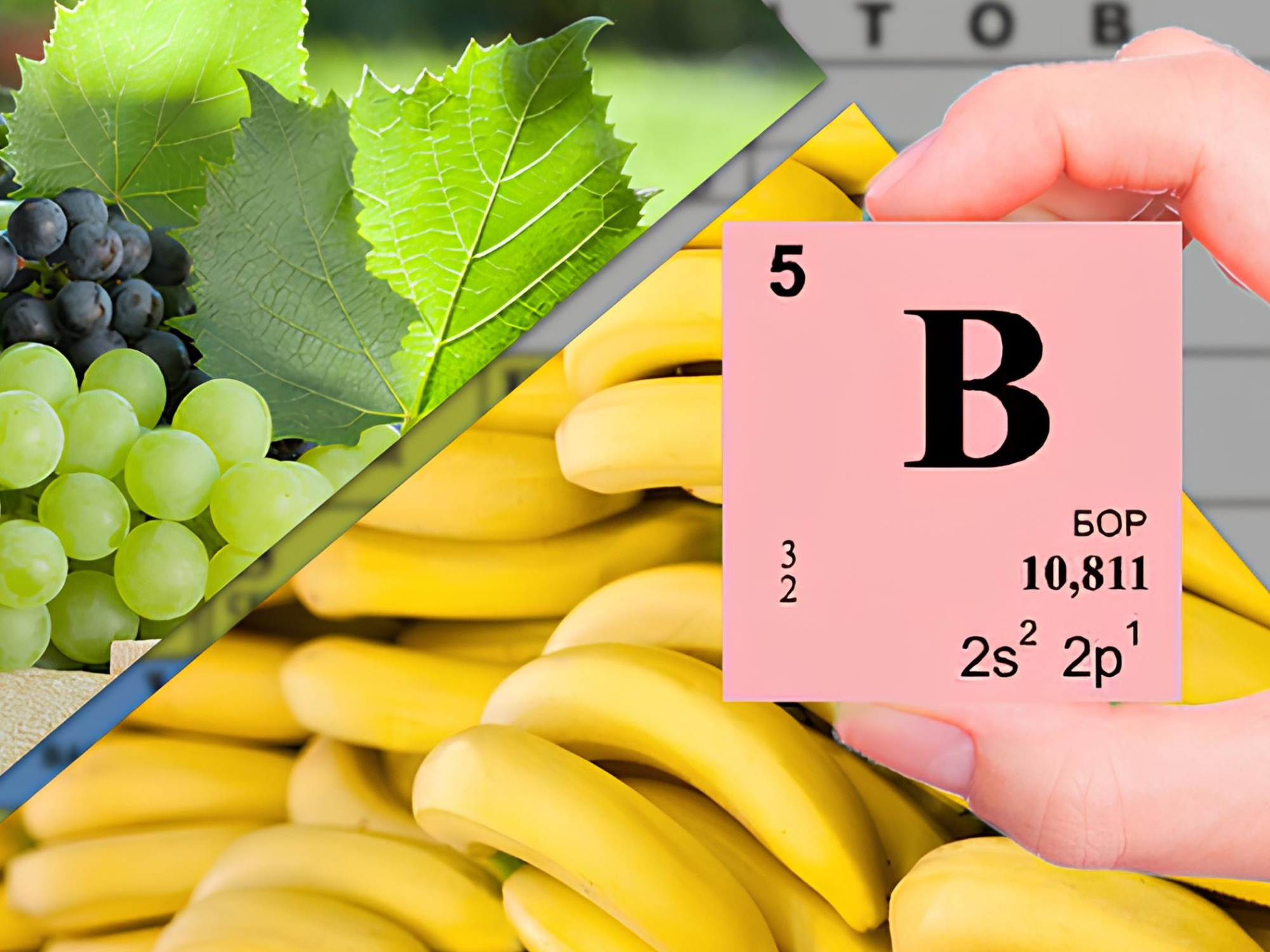 Содержание бора в продуктах