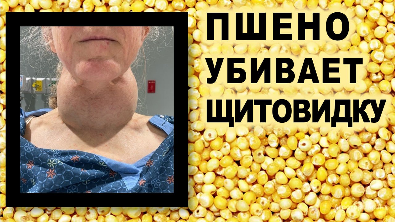 Почему ПШЕНО опасно для вашей ЩИТОВИДНОЙ ЖЕЛЕЗЫ?