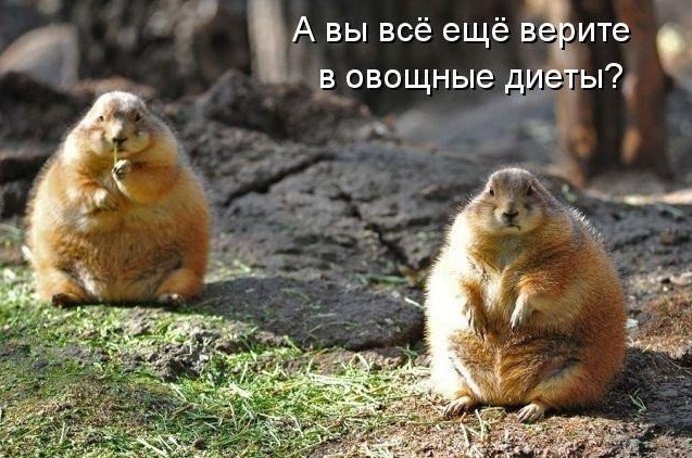 Есть ли жизнь во время поста?