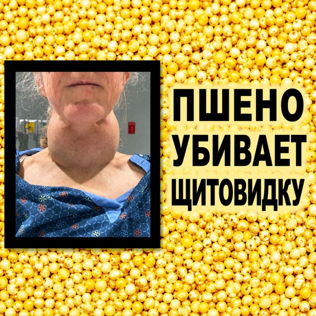Почему ПШЕНО опасно для вашей ЩИТОВИДНОЙ ЖЕЛЕЗЫ?
