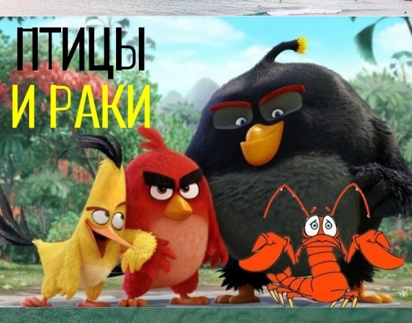 Мясо птицы вызывает рак?