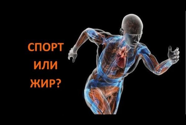 Как ускорить сброс веса занятиями спортом?