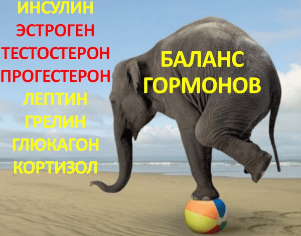Женское гормональное здоровье и питание